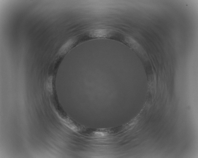 X0000062800167200512221414