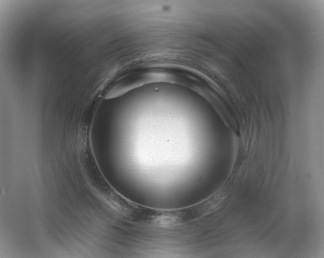 X0000062800168200512221414