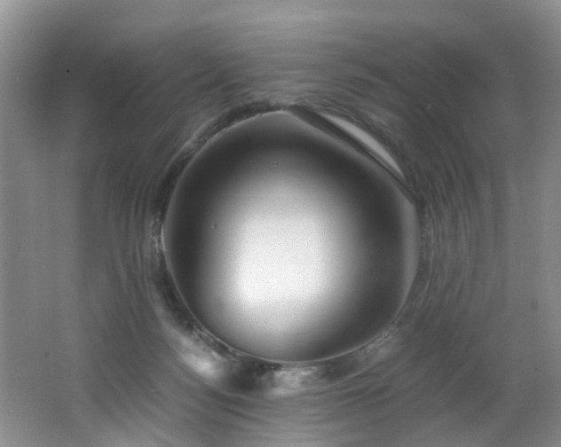 X0000062800172200512221414