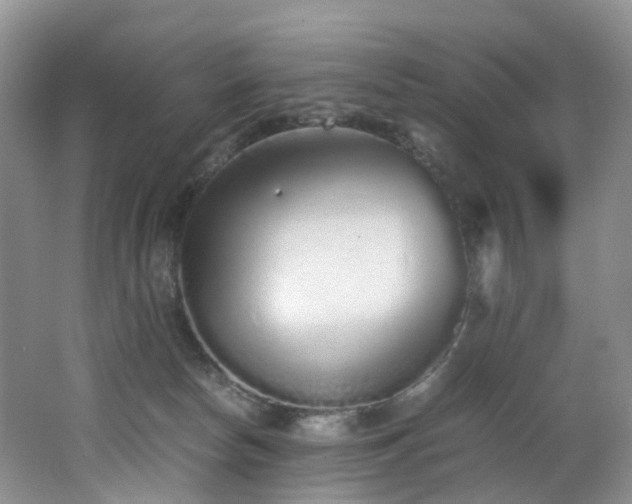 X0000062800178200512221414