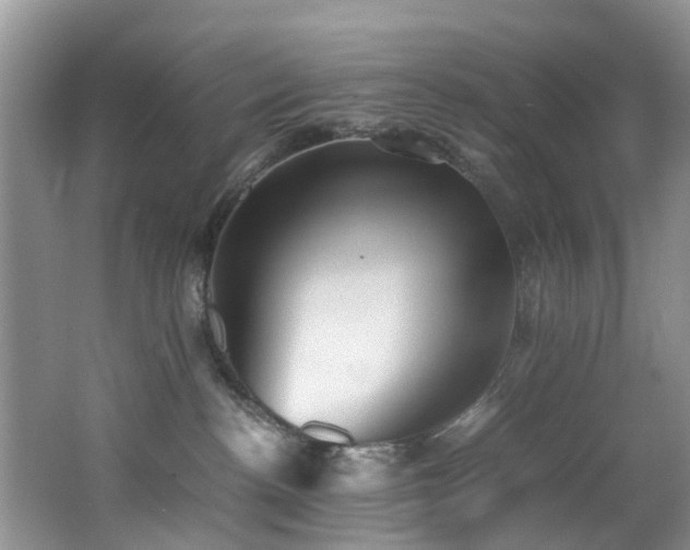 X0000062800188200512221414