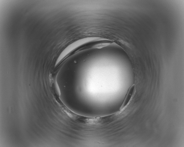X0000062800192200512221414