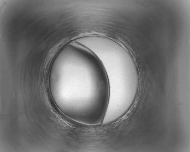 X0000062800193200512221413