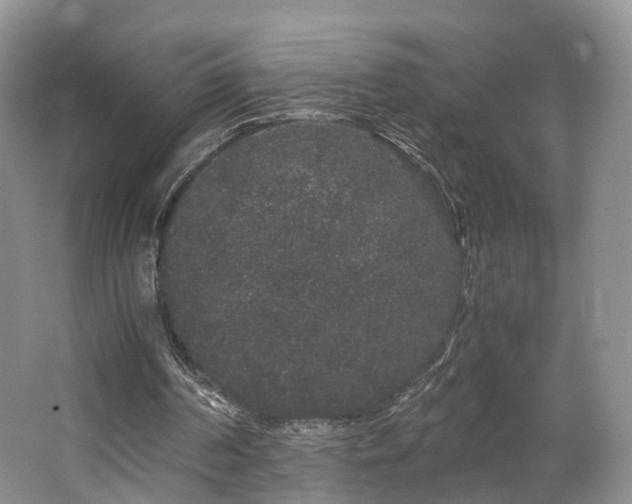 X0000062800194200512221413