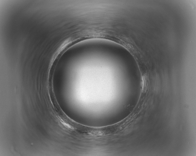 X0000062800195200512221413