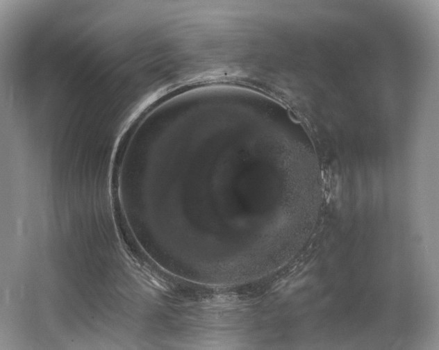 X0000062800196200512221413