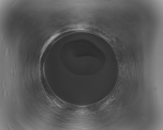 X0000062800200200512221413
