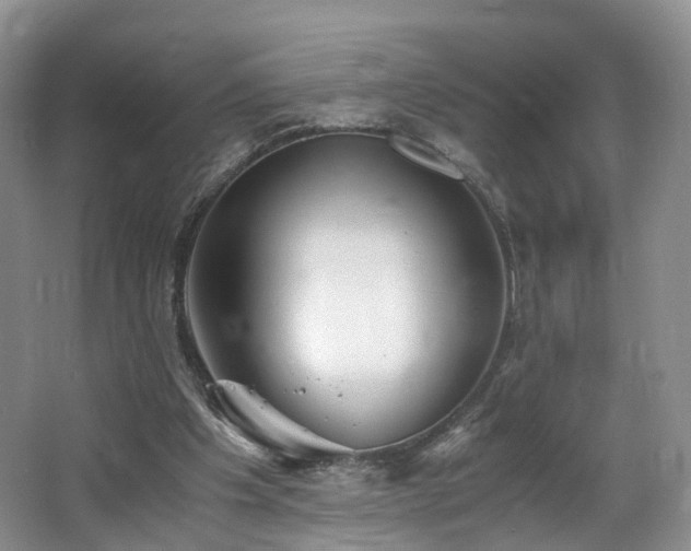 X0000062800201200512221413