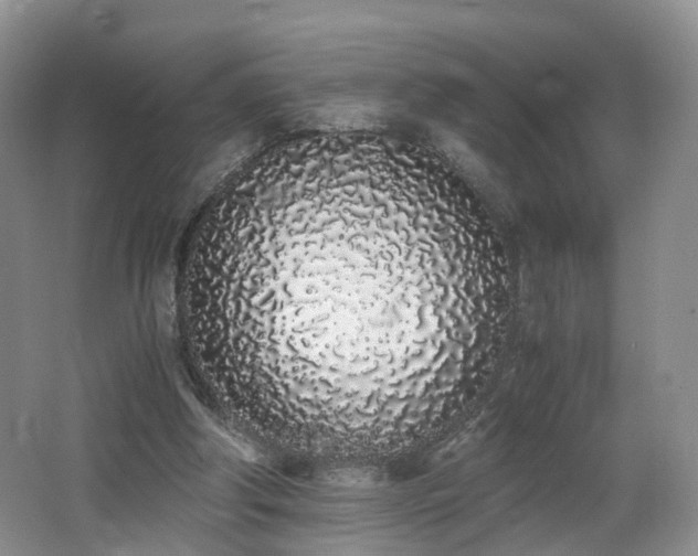 X0000062800202200512221413