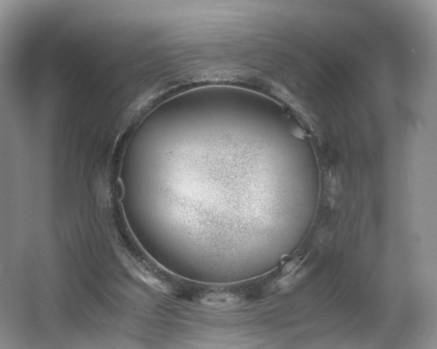X0000062800203200512221413