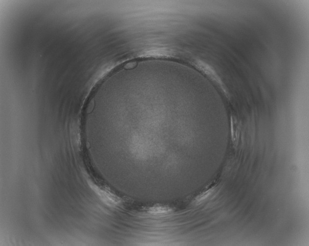 X0000062800204200512221413