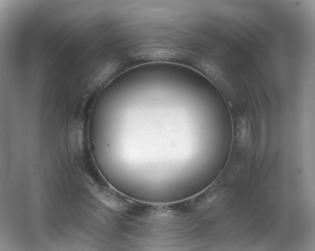 X0000062800206200512221413