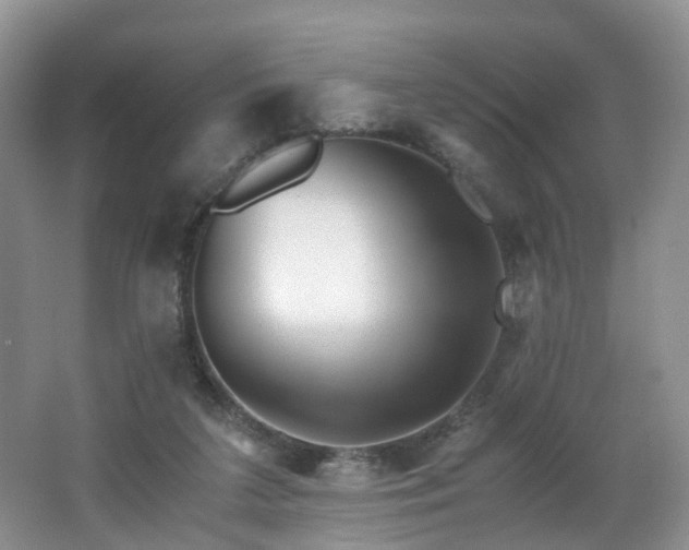 X0000062800211200512221413