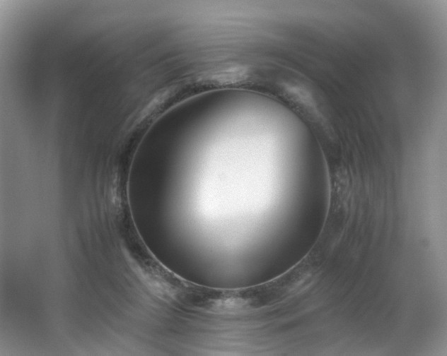 X0000062800212200512221413