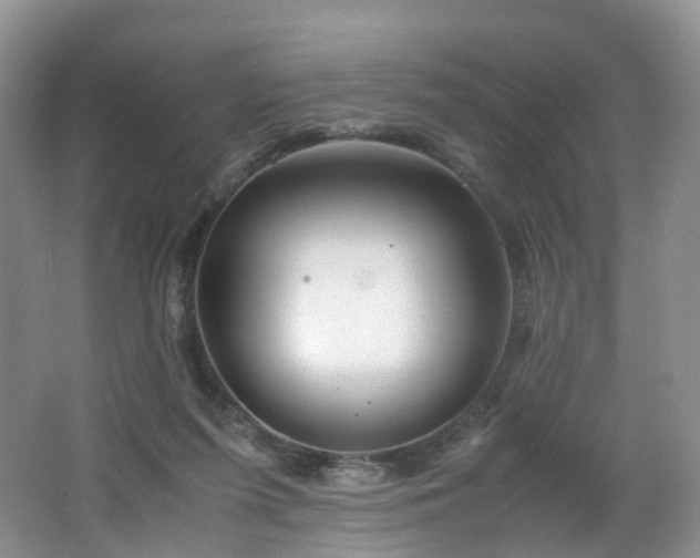 X0000062800215200512221413