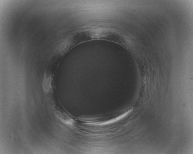 X0000062800219200512221413