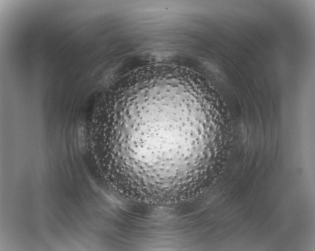 X0000062800222200512221413