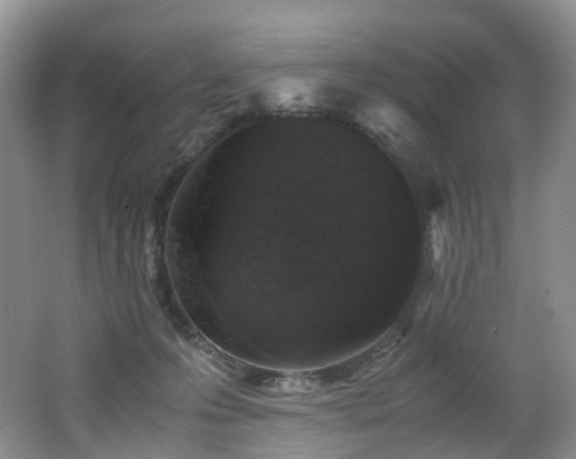 X0000062800223200512221413