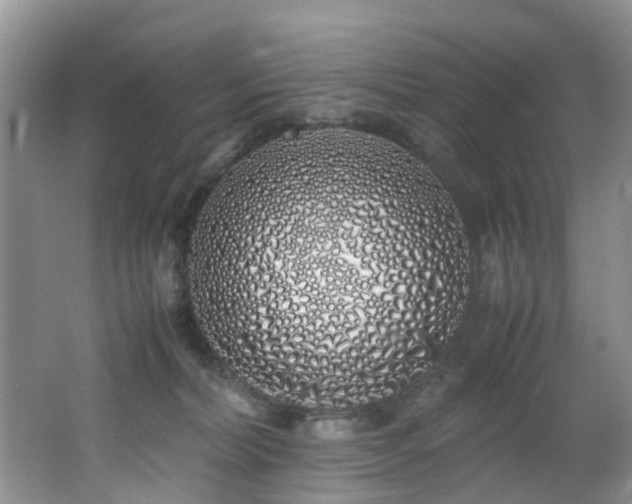 X0000062800228200512221413