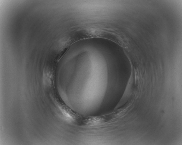 X0000062800235200512221413