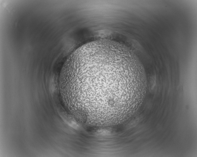 X0000062800236200512221413