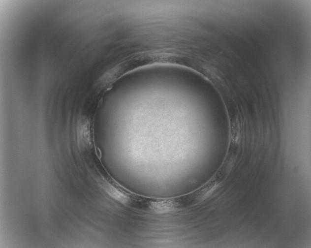 X0000062800238200512221413