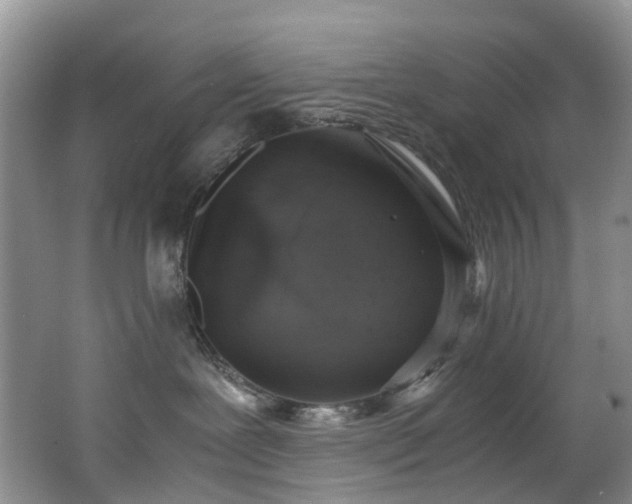X0000062800239200512221413
