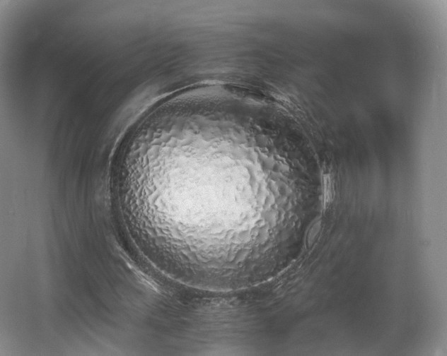 X0000062800243200512221412