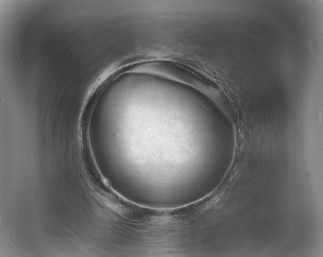 X0000062800246200512221412