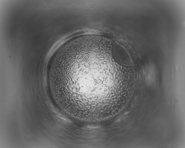 X0000062800247200512221412