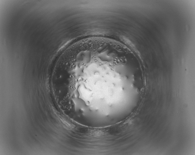X0000062800249200512221412