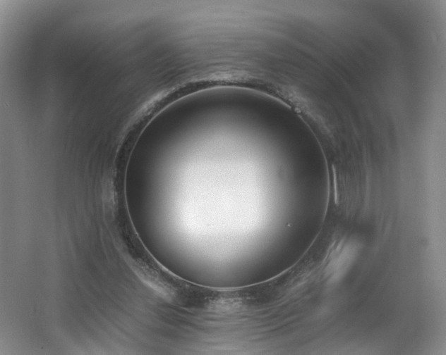 X0000062800252200512221412