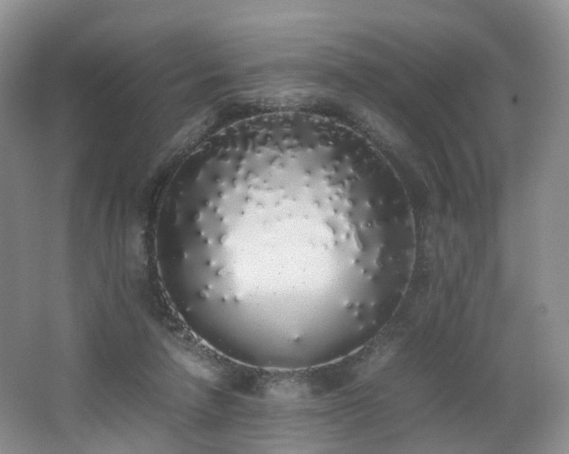 X0000062800258200512221412