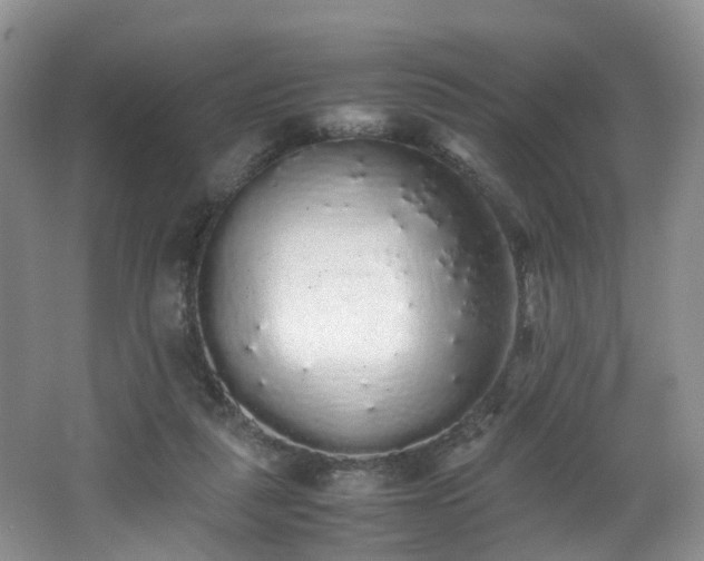 X0000062800259200512221412
