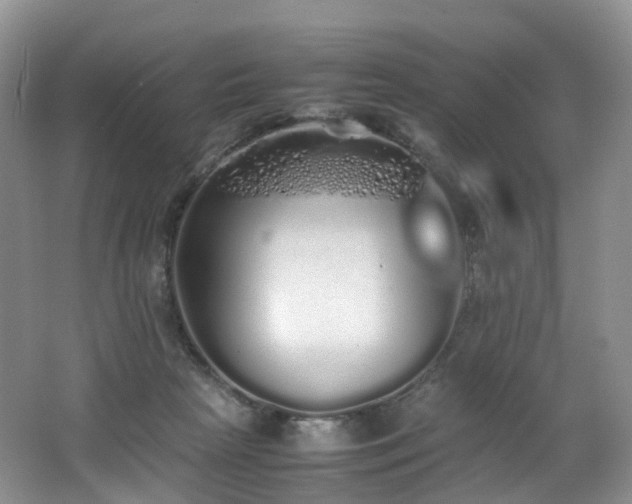 X0000062800265200512221412