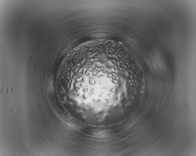 X0000062800267200512221412