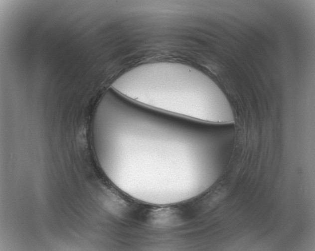 X0000062800269200512221412