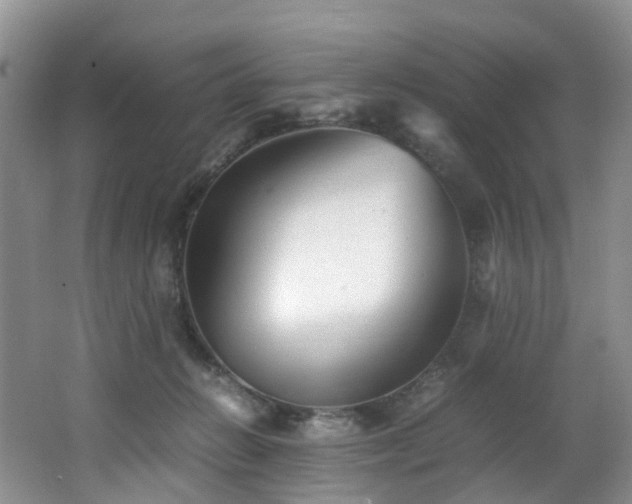 X0000062800270200512221412