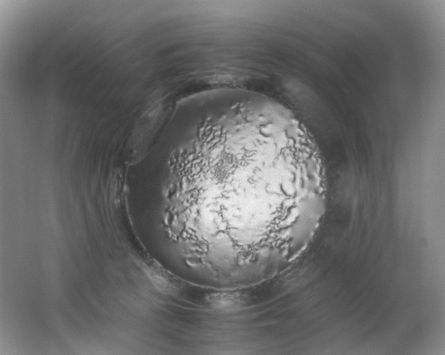 X0000062800273200512221412
