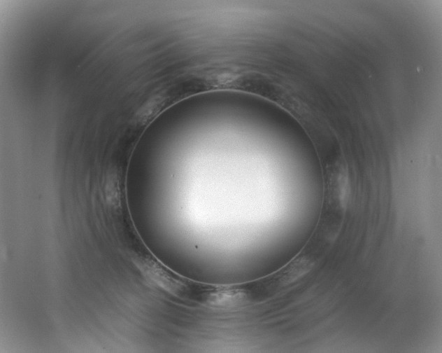 X0000062800274200512221412