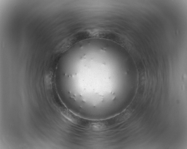X0000062800275200512221412