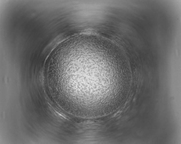 X0000062800290200512221412