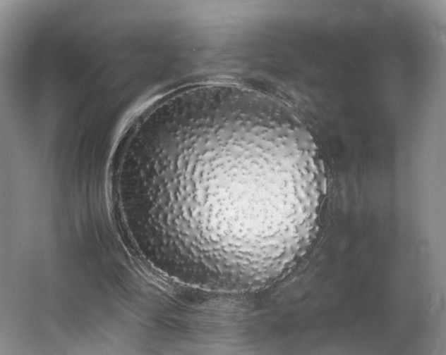 X0000062800294200512221412