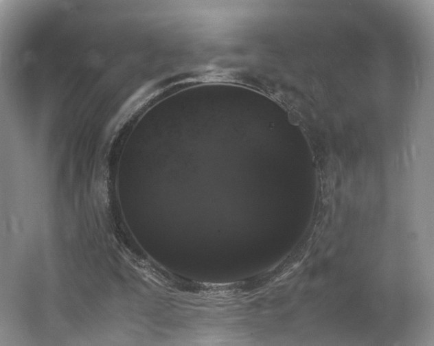 X0000062800295200512221412
