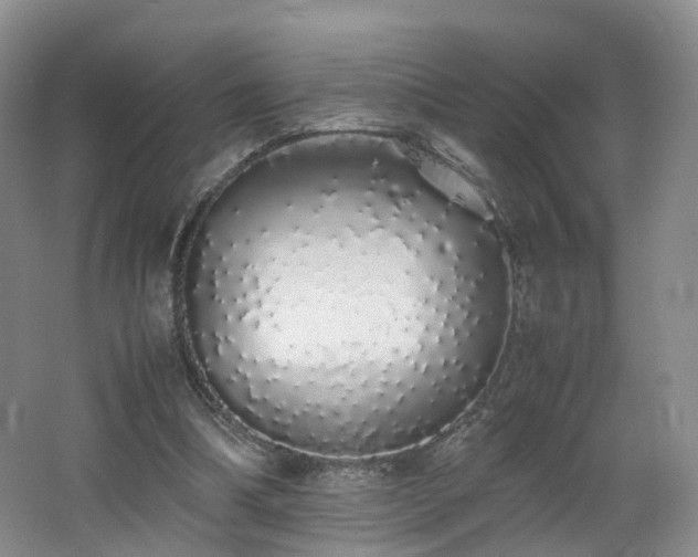 X0000062800298200512221412