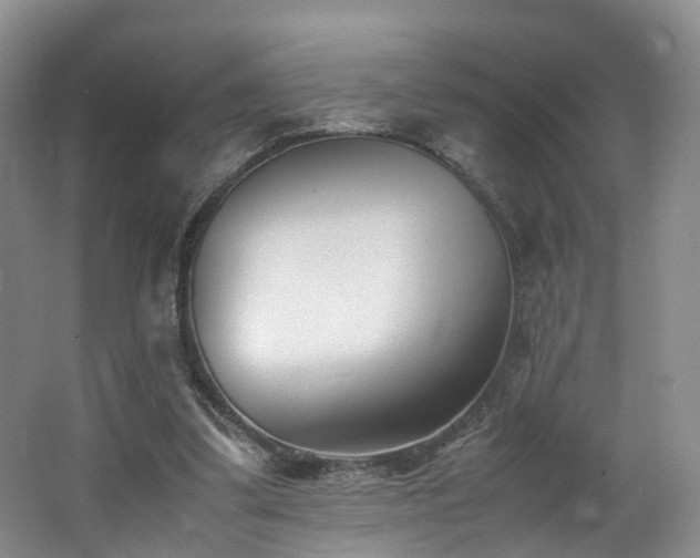 X0000062800299200512221412