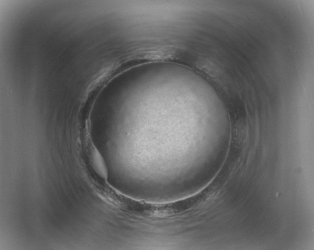 X0000062800303200512221412