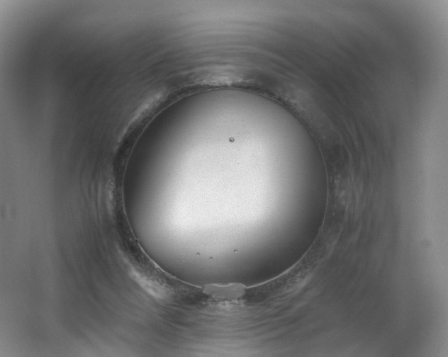 X0000062800304200512221412