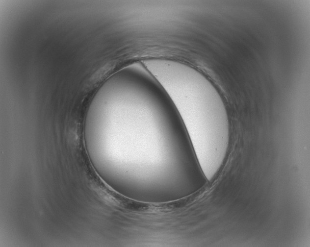 X0000062800305200512221411