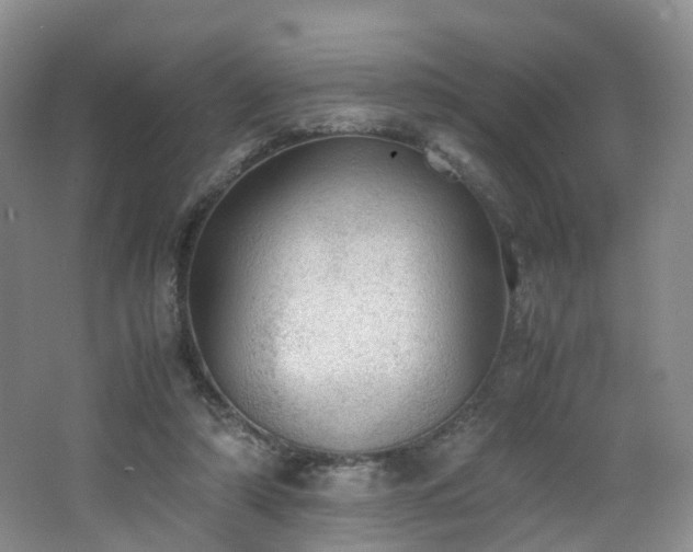 X0000062800306200512221411